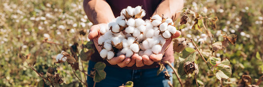Nachhaltige Bio-Baumwolle in Händen von zertifizierten Bauern. Alle wichtigen Infos in unserem Artikel.